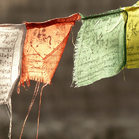 Github Kriswallsmith Assetic Asset Management For Php - Nature Background Collection - Retina Quality