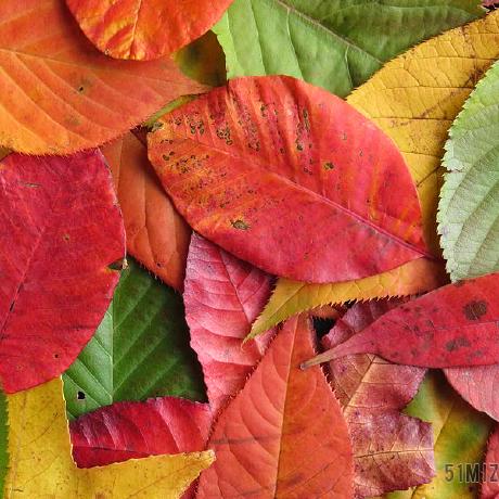 Github Hebalubbad Ucas Ios - 4K City Illustrations for Desktop