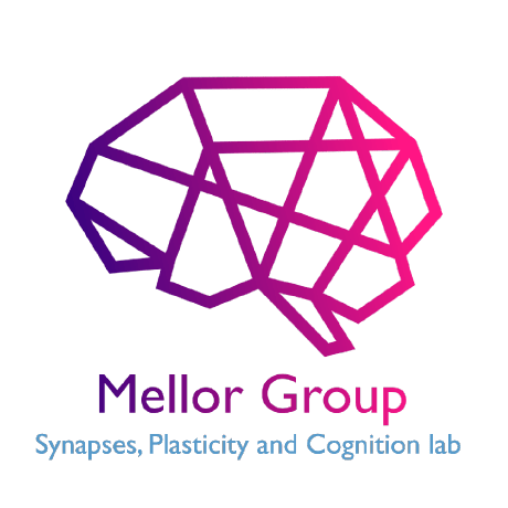 Melloradam97 Adam Mellor Github - Desktop Dark Arts for Desktop