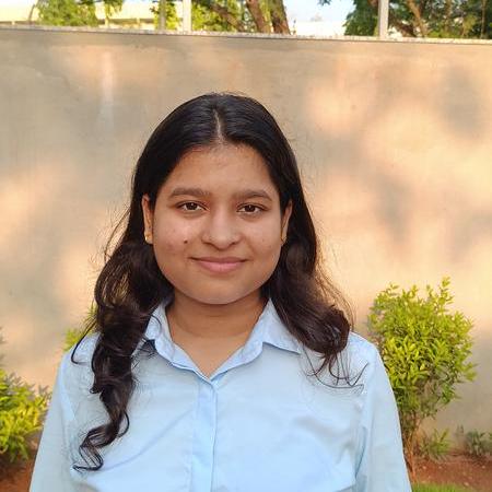 Sonalinidhi Sonali Nidhi Github - Mountain Pattern Collection - Retina Quality