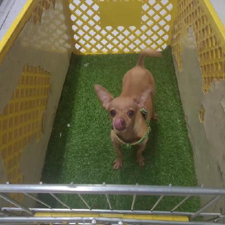 Alcidesdono2904 Alcides Jimenez Github - Beautiful Full HD Nature Patterns | Free Download