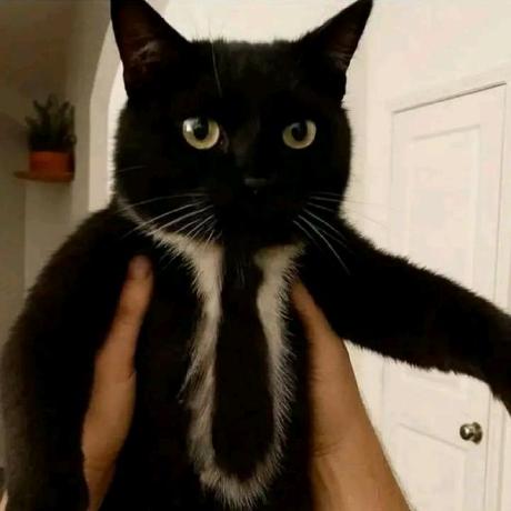 Github Amenferjani Chatnet Chat App - Best Mountain Textures in HD