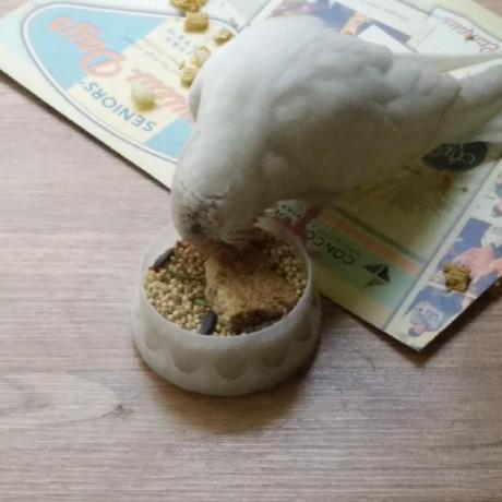 Ctrlaltestrada Luis V Estrada Github - Artistic Desktop Gradient Pictures | Free Download