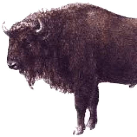 Github Allenai Openbookqa Code For Experiments On Openbookqa From - Mobile Dark Designs for Desktop