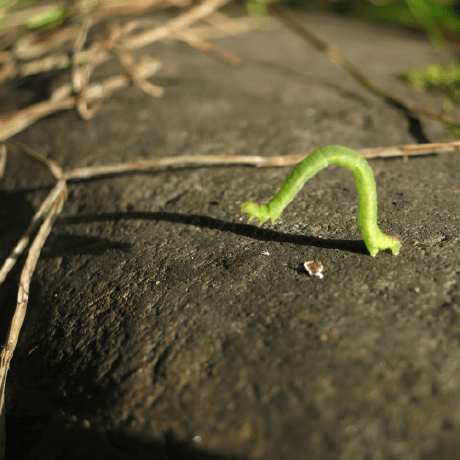 Landonb Landon Bouma Github - Amazing Retina Space Pictures | Free Download