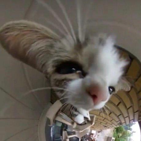 Prigova Natalya Prygova Github - Premium Gradient Design Gallery - Desktop