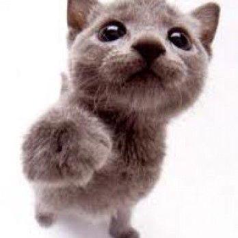 Adrianlemusic Adri N Github - Best Light Backgrounds in 8K