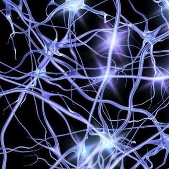 Github Najafi Laboratory 2p Imaging - Incredible Mobile Ocean Textures | Free Download