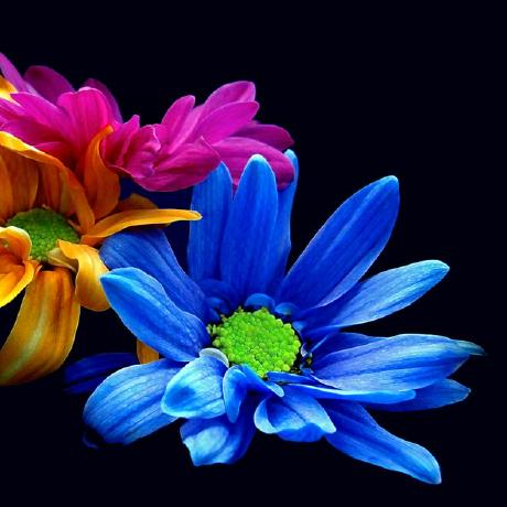 Gokulakrishnan A Github - Stunning 4K Ocean Wallpapers | Free Download