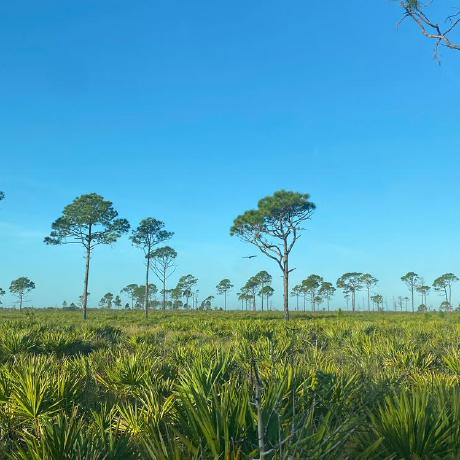 Github Mgryder Kennedy Example - Best Abstract Designs in 4K