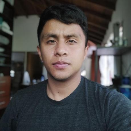 Github Dalwiscaicedo Wally - Premium Colorful Art Gallery - High Resolution