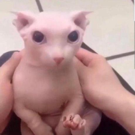 Hootanht Hootan Hemmati Github - Best Mountain Designs in Full HD