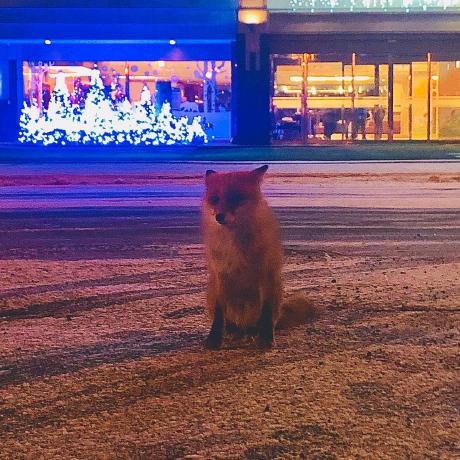 Hiroaki Swords Github - HD Space Pictures for Desktop