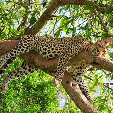 Erma 00 Alessandro Github - Download Incredible Light Texture | Desktop