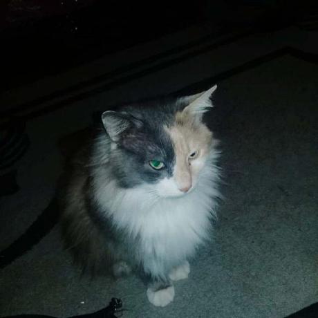 Furkanikaya Furkan Github - Space Pattern Collection - HD Quality