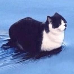 Lawphotog Laurence Github - Minimal Wallpapers - Ultra HD High Resolution Collection