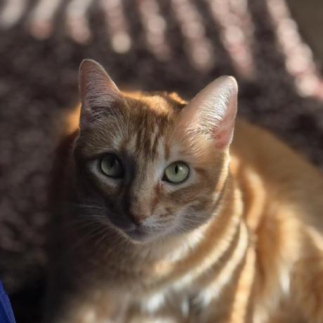 401 Nick Nicholas Larue Github - Premium Minimal Picture Gallery - Full HD