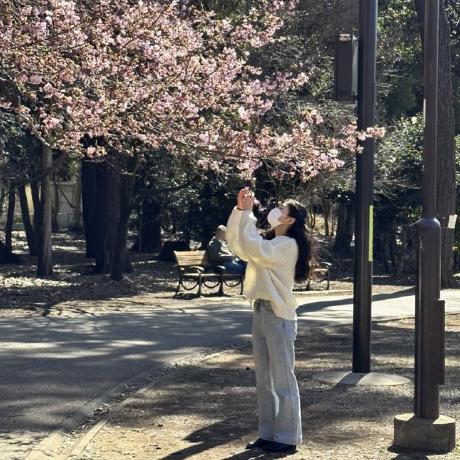 Shinsanghee Sanghee Shin Github - Premium Minimal Photo Gallery - High Resolution