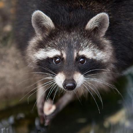 Sai Sriram22 Github - Incredible High Resolution Nature Images | Free Download