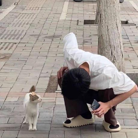 Chernoy Cherno Github - Premium Gradient Texture Gallery - HD