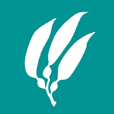 Aquarium Github Topics Github - Light Patterns - Amazing Retina Collection