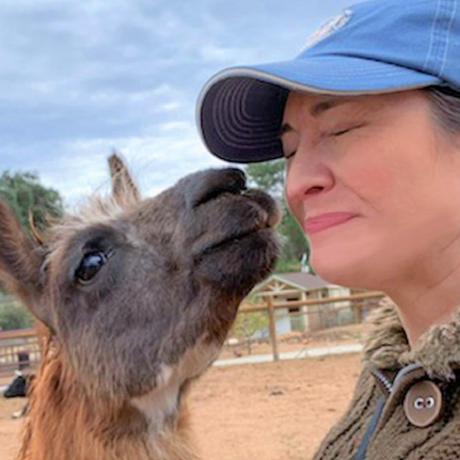 Rondastrauch Ronda Strauch Github - Best Ocean Images in Mobile