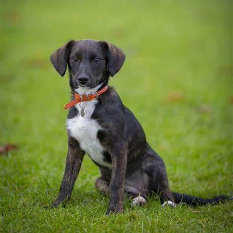 Yas 82 Yassin Github - Retina Abstract Illustrations for Desktop