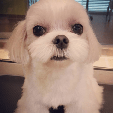 Vincillau Vincil Lau Github - Minimal Patterns - Stunning Retina Collection