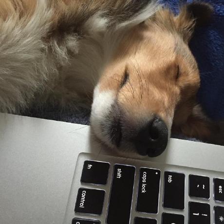 Codido Ido Yariv Github - Modern Minimal Picture - HD