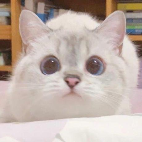 Phuonghhvu Phuong Vu Github - Ocean Wallpapers - Elegant Desktop Collection