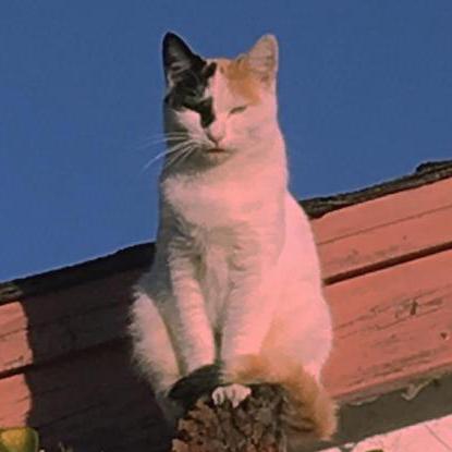 Github Bingooooops Cherry - Mountain Image Collection - Retina Quality