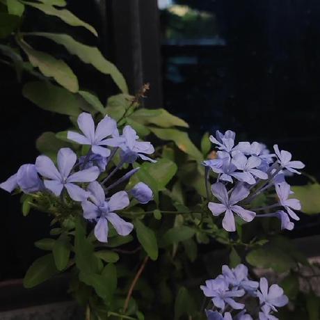 Asma 2005 Asmaa Waleed Github - Download High Quality Nature Background | Ultra HD