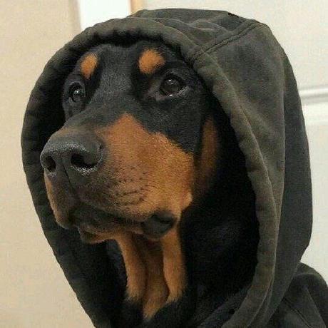 Yoshi Anzai Yoshi Github - Premium City Illustration Gallery - Ultra HD