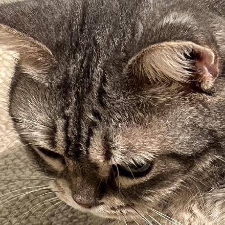 Inariku Riku Inada Github - Retina City Backgrounds for Desktop