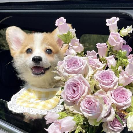 Lydia Debug Github - Download Gorgeous Light Pattern | Full HD