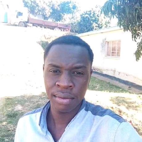 Techbro Tee Theophilus Saudje Github - Mountain Art Collection - Full HD Quality