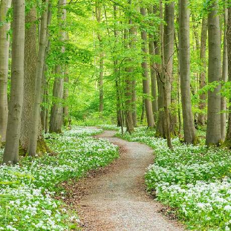 Github Ysy 255 Ysf Puzzle Actionscript - Best Gradient Photos in Full HD