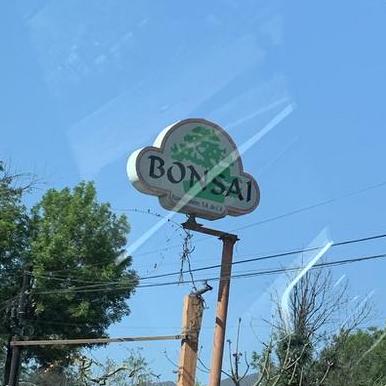 Bonsai Github - Modern HD Gradient Backgrounds | Free Download