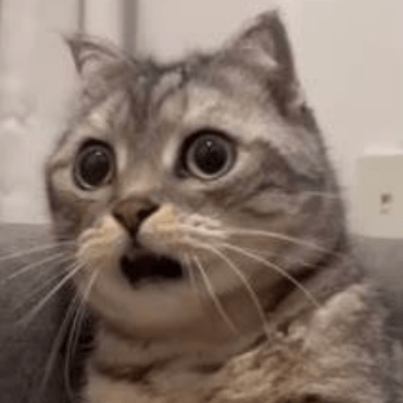 Github Mineco1006 Qsol Extension - Ocean Arts - Creative Retina Collection