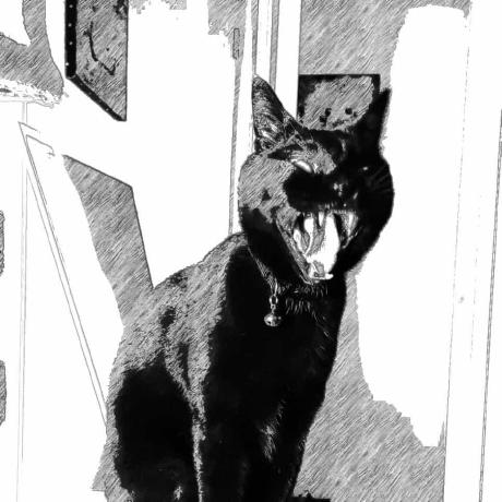 Github Ixdarklord Coolcatlib Another Library Mod - Premium Ocean Background Gallery - Retina