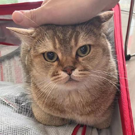 Yurui2024 Yurui Github - Professional Abstract Image - Retina