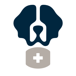 Loyaltly Cn Loyal Github - Sunset Pattern Collection - 8K Quality