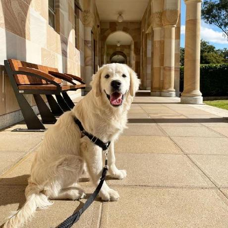 Zeph Exe Zephyr Github - Download Stunning Ocean Pattern | Full HD