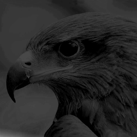 Hawk Ridge Systems Github - Best Mountain Illustrations in Retina