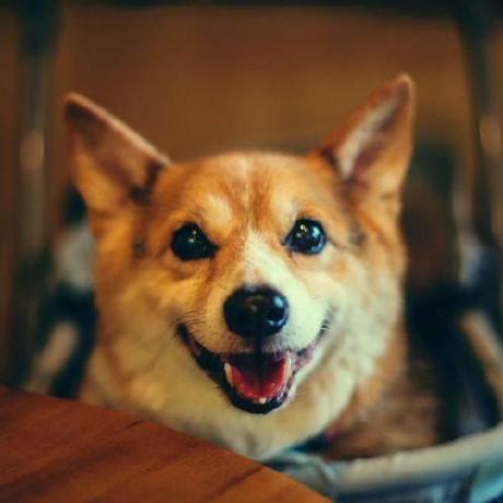 Xiaoyu Long Xiaoyu Github - Modern Retina Dark Images | Free Download