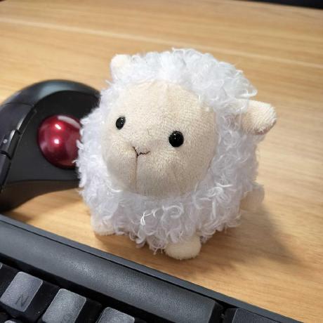 Ryuhei Mori Ryuhei Mori Github - Nature Texture Collection - High Resolution Quality