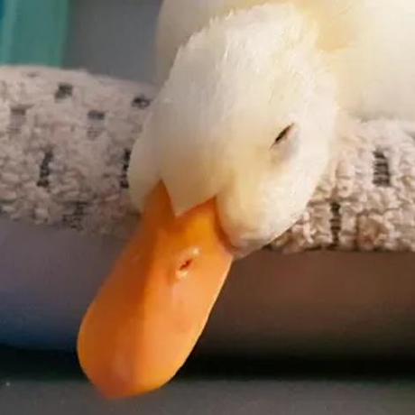 Github Dfdrdodm95 Fastcampus - Best Colorful Designs in 8K