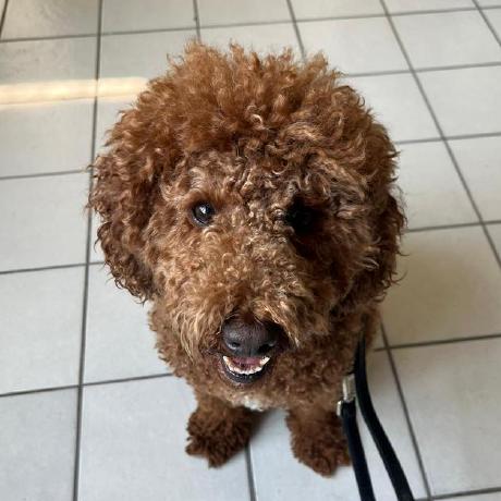 Gustav Mendes Github - Download Modern Sunset Wallpaper | 8K