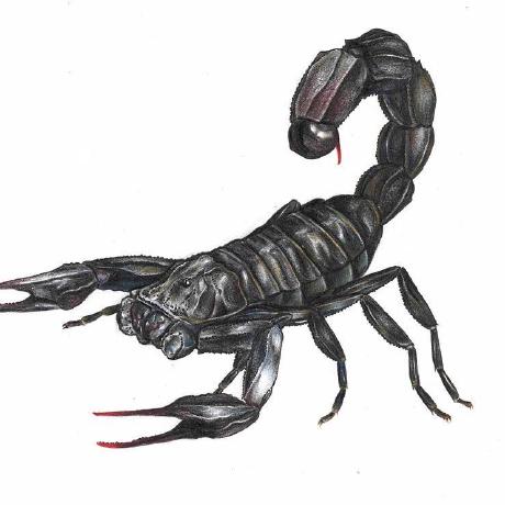 J Scorpio Github - Ultra HD Ocean Textures for Desktop