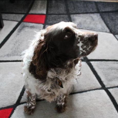 Artur Zolkiewski Artur Kiewski Github - Perfect Landscape Wallpaper - Retina